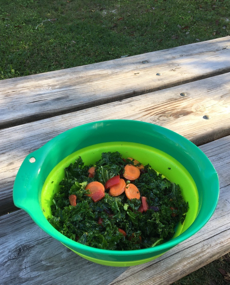 kale salad with lemon vinaigrette in collapsible mixing bowl portrait
