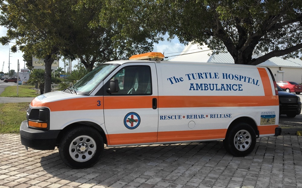turtle hospital ambulance