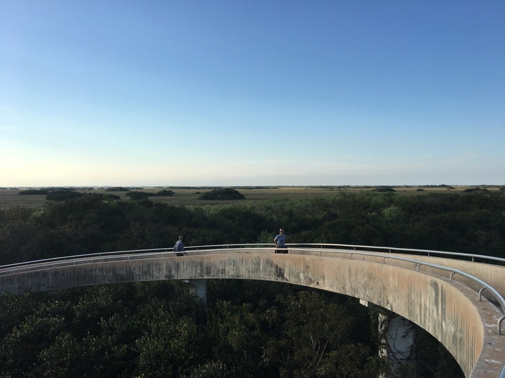 the learning banks on the observation tower at shark valley in the everglades