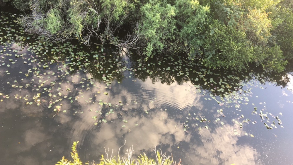 reflections from the observation tower at shark valley in the everglades