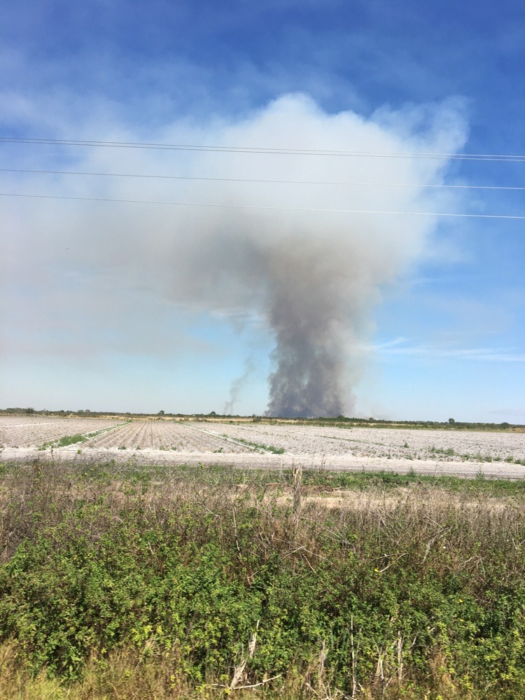 burning sugarcane in florida