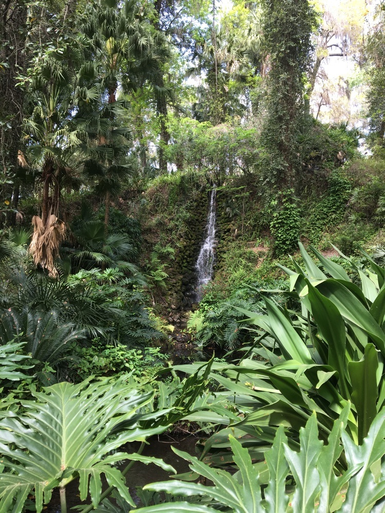 another waterfall at rainbow springs state park