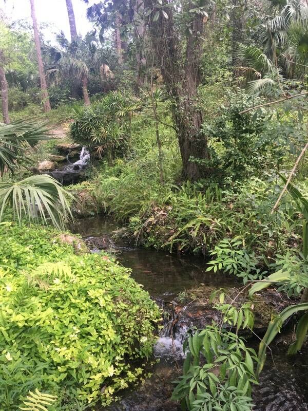 more lovely views at rainbow springs