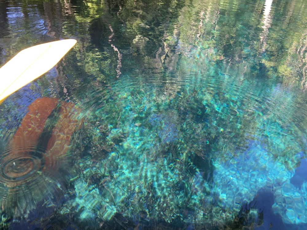 clear water at silver springs