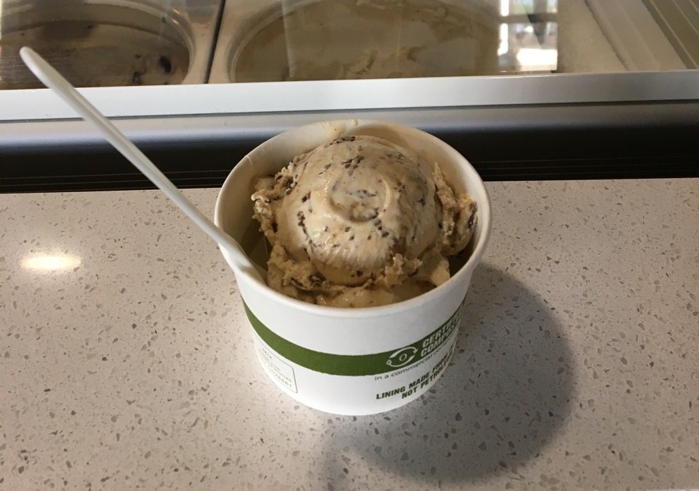vegan ice cream at karma cream.