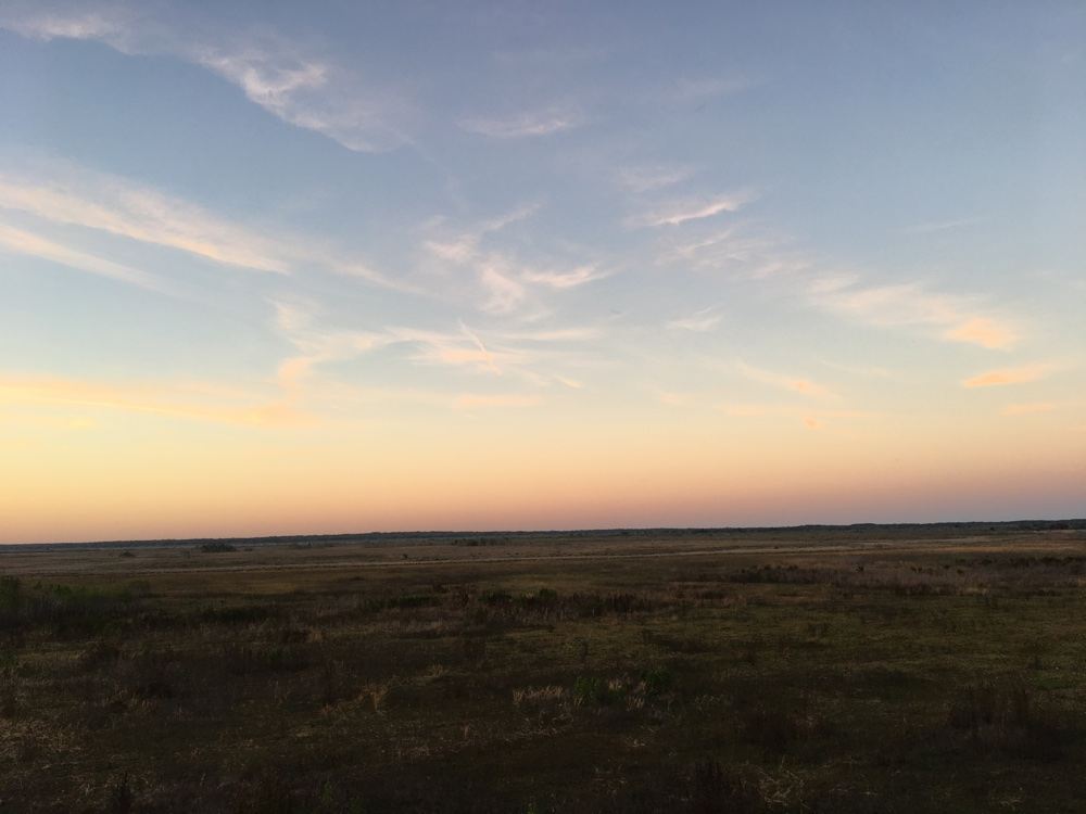 paynes prairie sunset.
