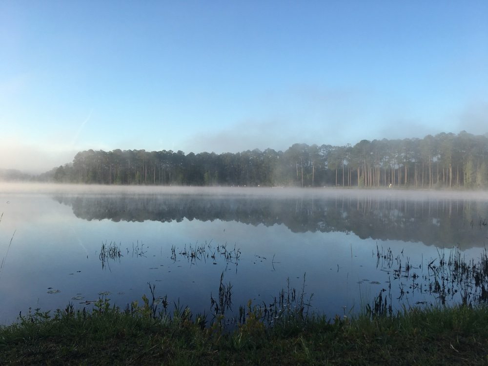 fog on the lake at laura s. walker state park.