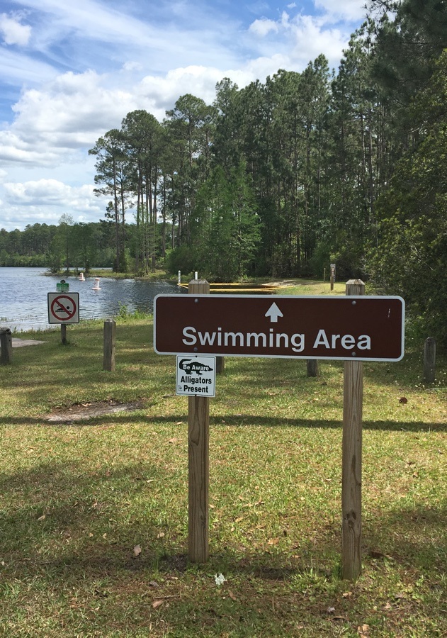 alligator warning at swimming area laura s. walker state park.