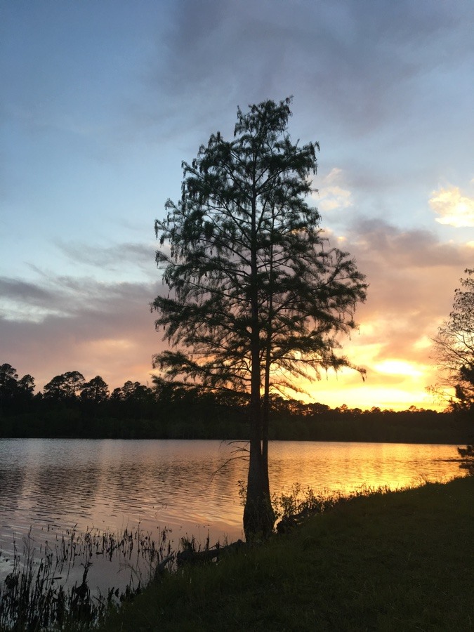 sunset at laura s. walker state park.
