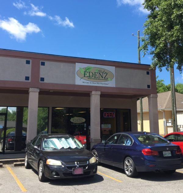 High Falls State Park toads and waterfalls VeganRV