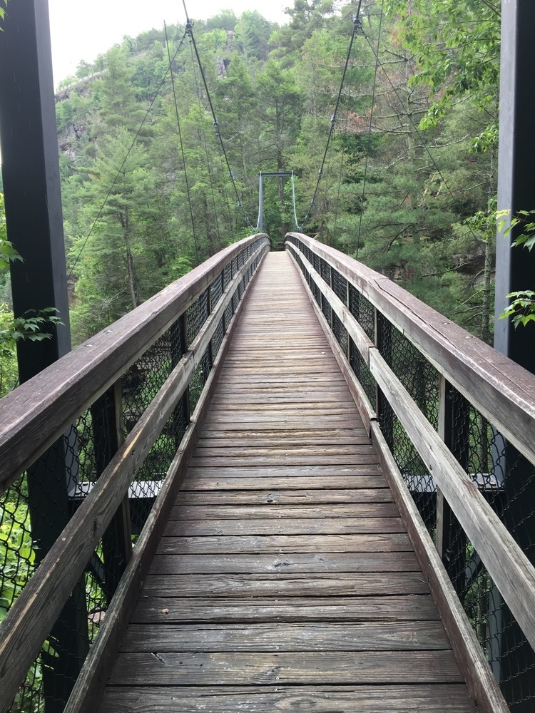 tallulah gorge suspension bridge.