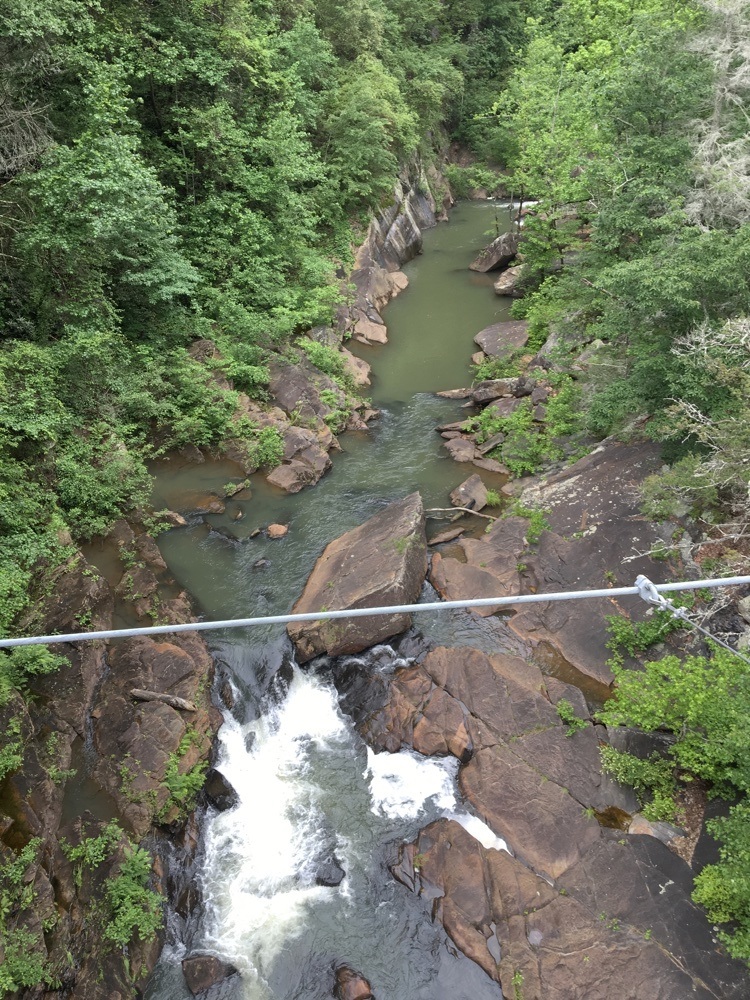 view from tallulah gorge suspension bridge.