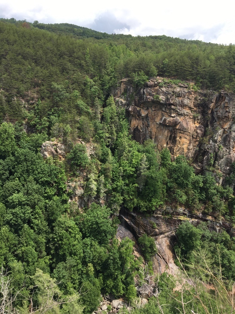 cliffs at tallulah gorge state park.