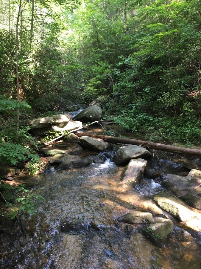Carrick creek trail at Table Rock State Park in South Carolina.