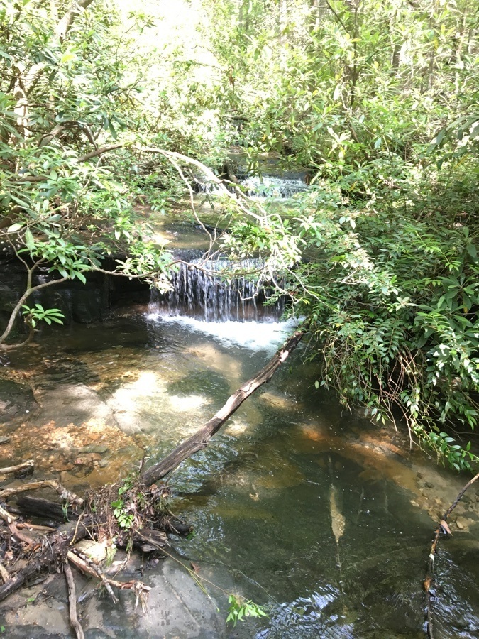 Carrick Creek Trail waterfall.