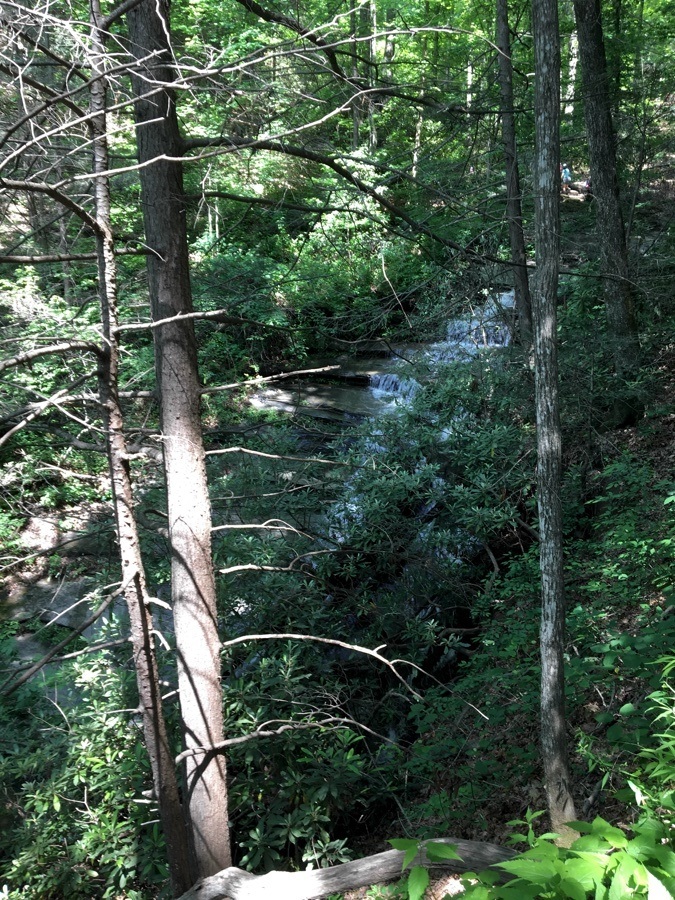 Carrick Creek Trail waterfall.
