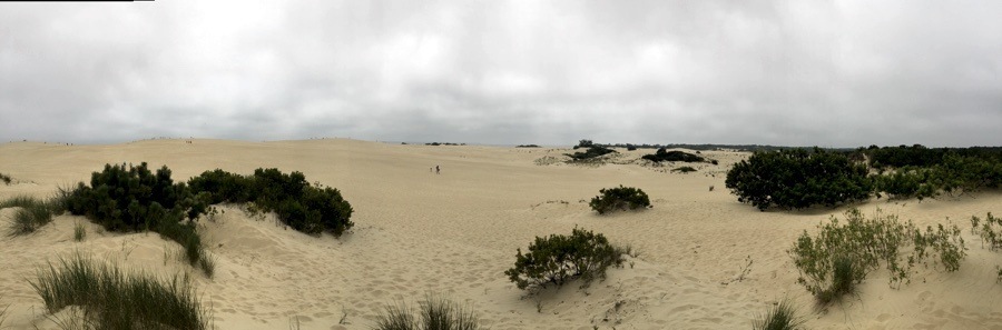 jockey ridge state park dunes panorama.