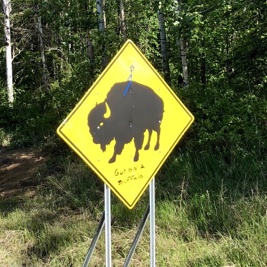 guy on a buffalo sign.