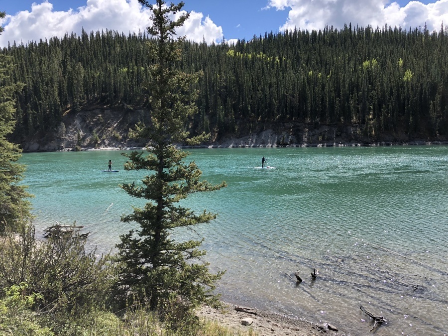 paddle boarders on the yukon river through miles canyon.