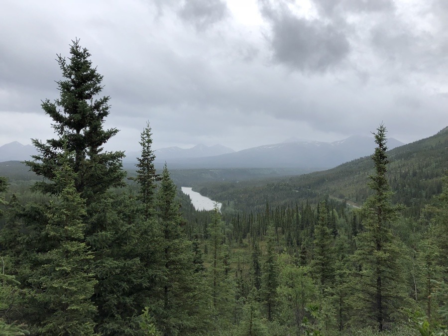 view from triple lakes trail in denali national park.