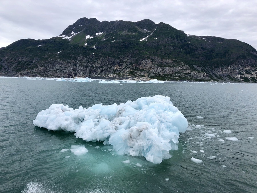 iceberg in prince william sound.