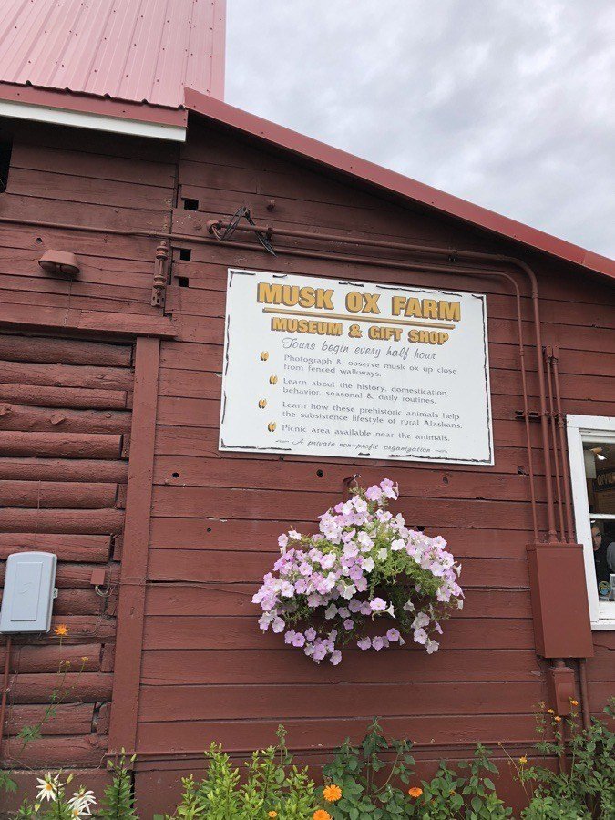 gift shop for the musk ox farm.