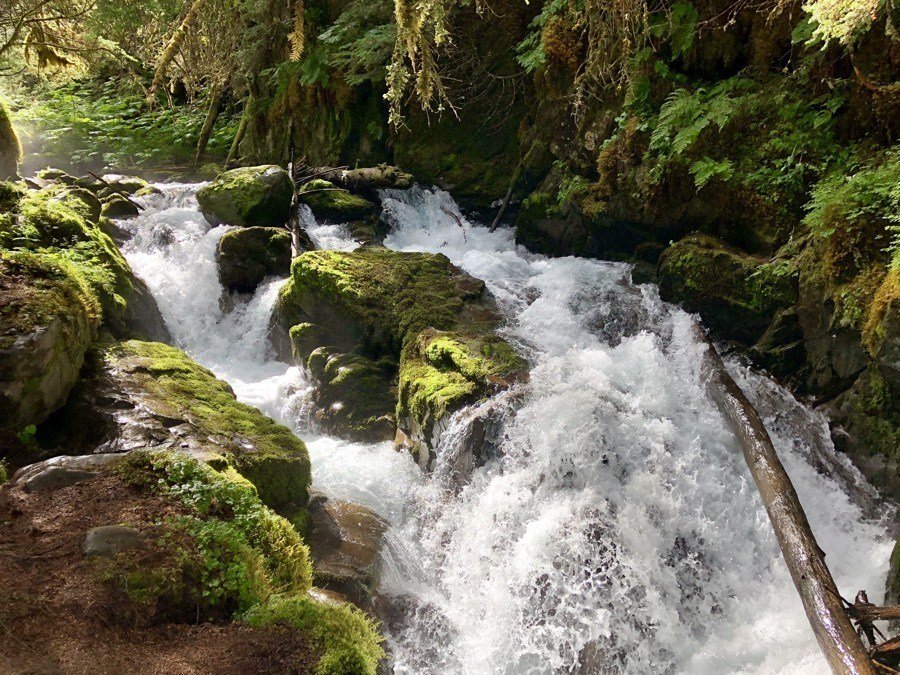 virgin creek falls trail in girdwood alaska.