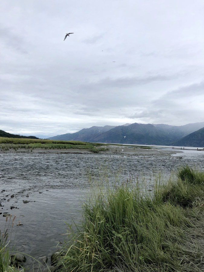 mountains and creek in hope alaska.