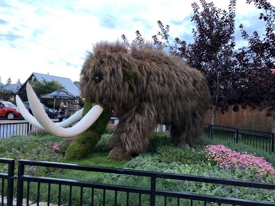living wooly mammoth sculpture at alaska state fair.