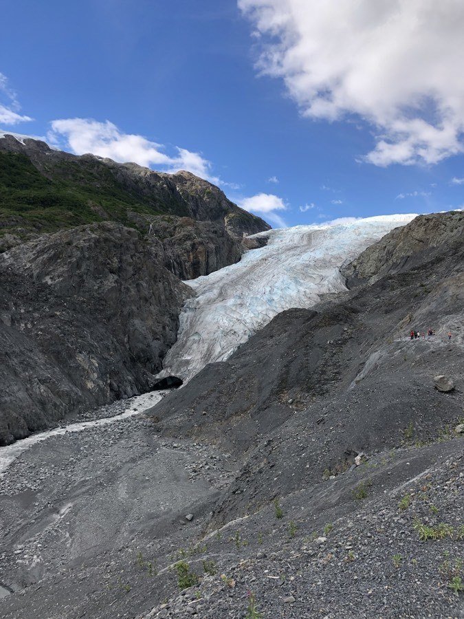 close up of exit glacier.