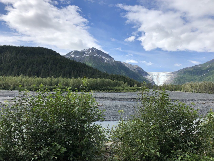 view of exit glacier from the road.
