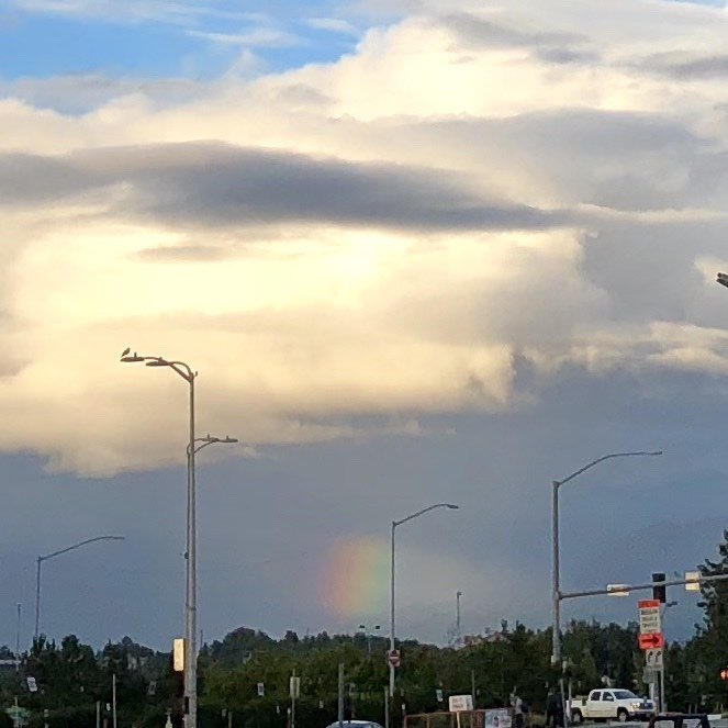 fat rainbow in anchorage alaska.