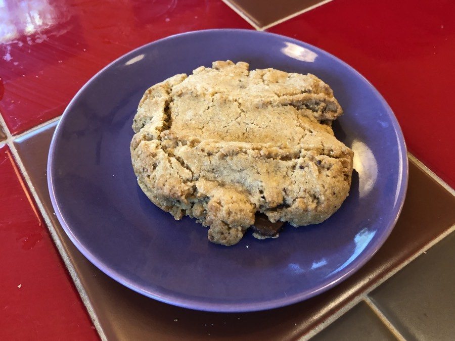 vegan cookie at flying squirrel bakery in talkeetna.