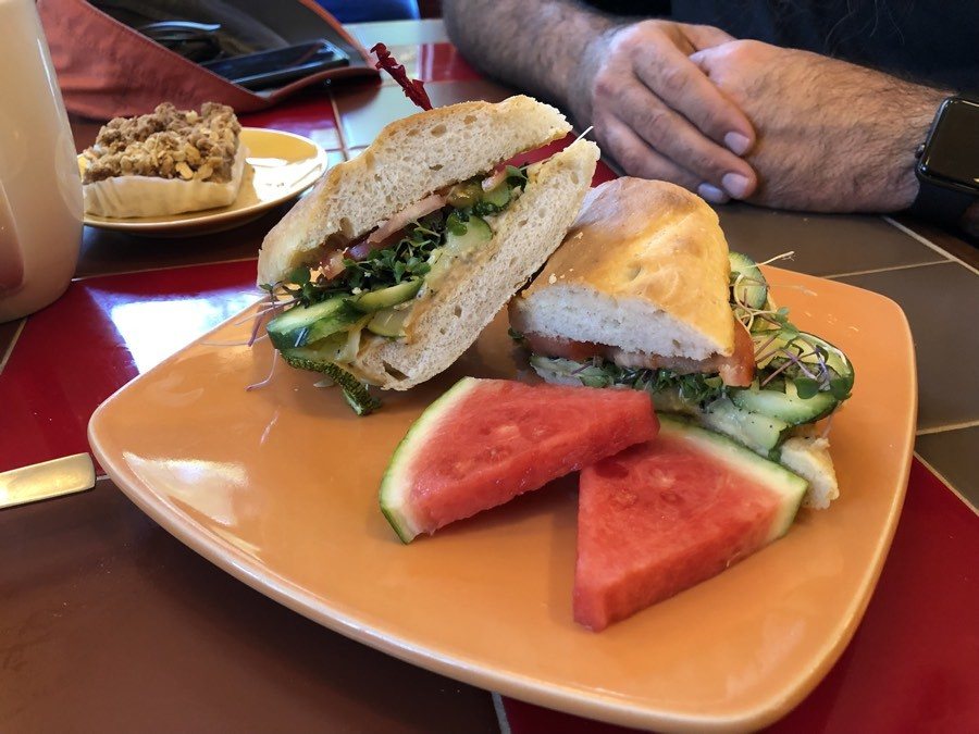 vegan sandwich at flying squirrel bakery in talkeetna.