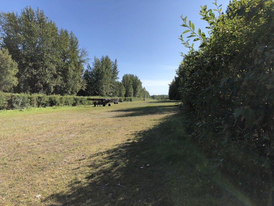 small grass runway in talkeetna alaska.