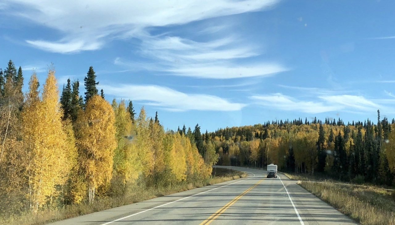 fall colors on the alaska highway.