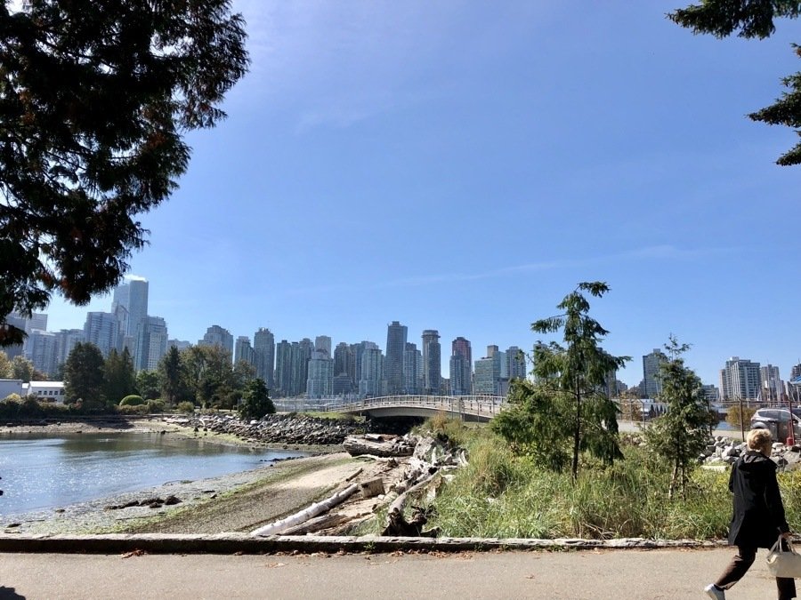 view of vancouver from the stanley park seawall trail.
