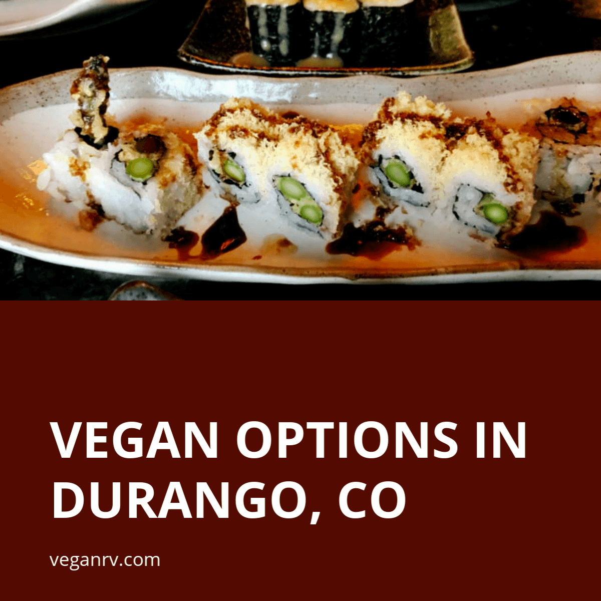 Vegan Durango 11 Favorite Options (2019)