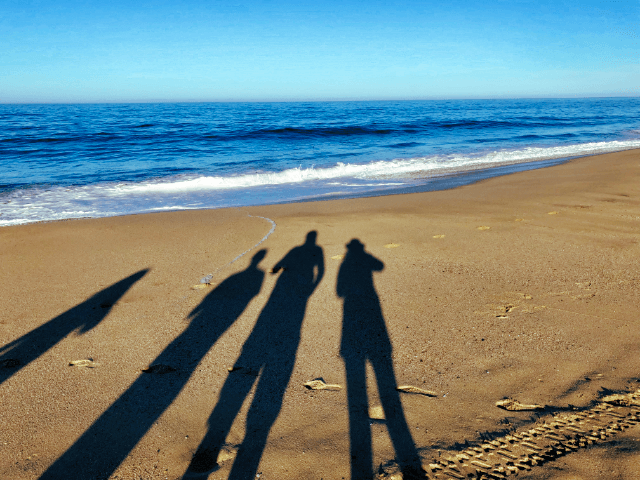 shadows on the beach with the ocean in the background.