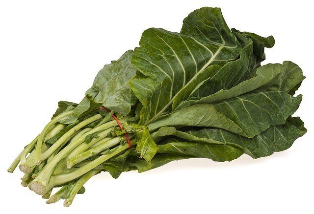 a rubber banded bundle of fresh collard greens.