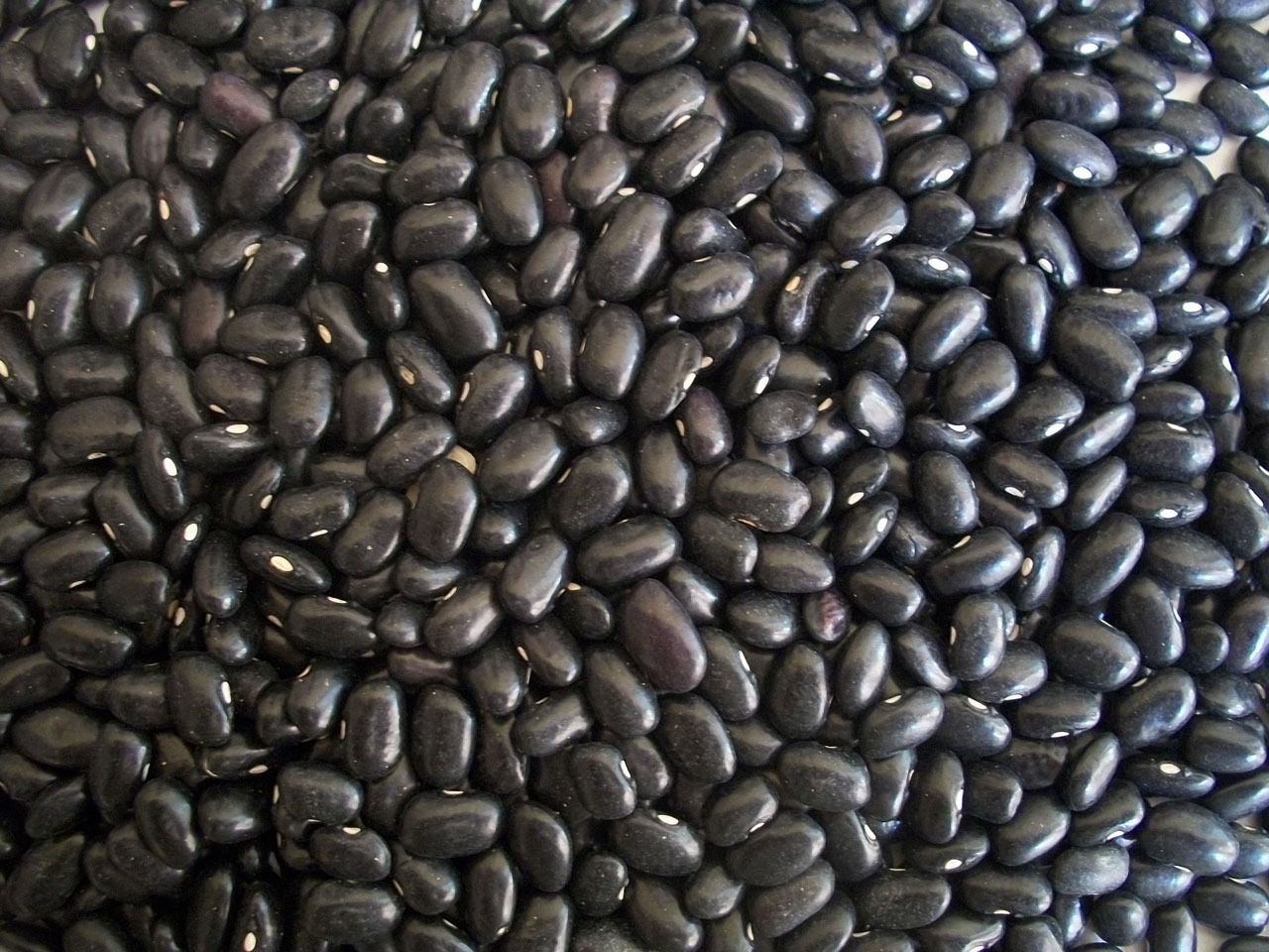 dried black beans.