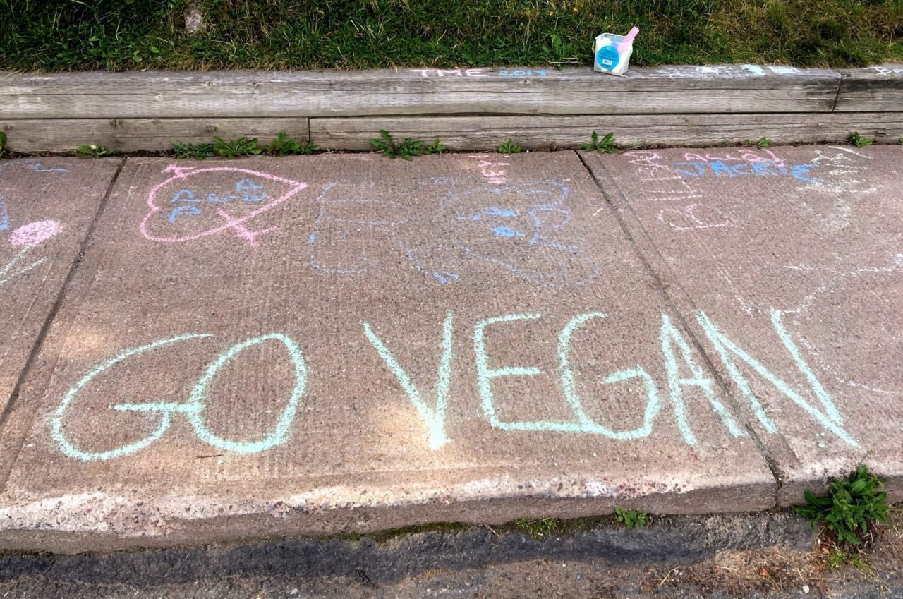 the words go vegan written in chalk on a sidewalk.