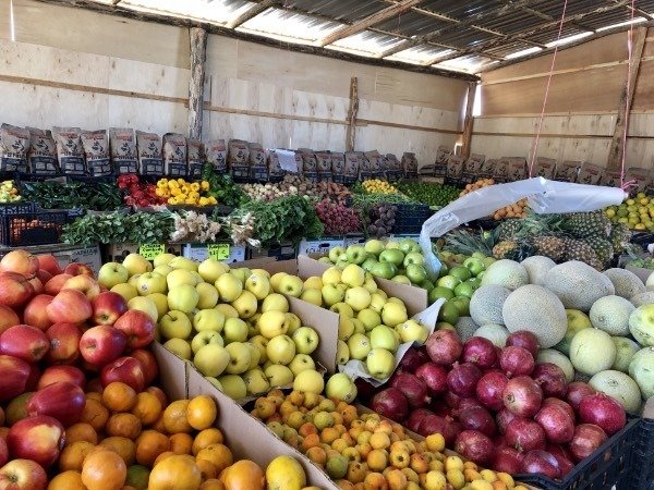 produce stand in los barriles, bcs, mexico.