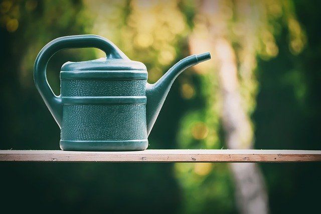 green watering can sitting on a wood shelf with blurred background.