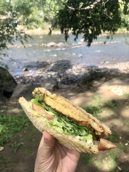 cali luv tempeh sandwich from durango natural foods co-op with the animus river in the background.