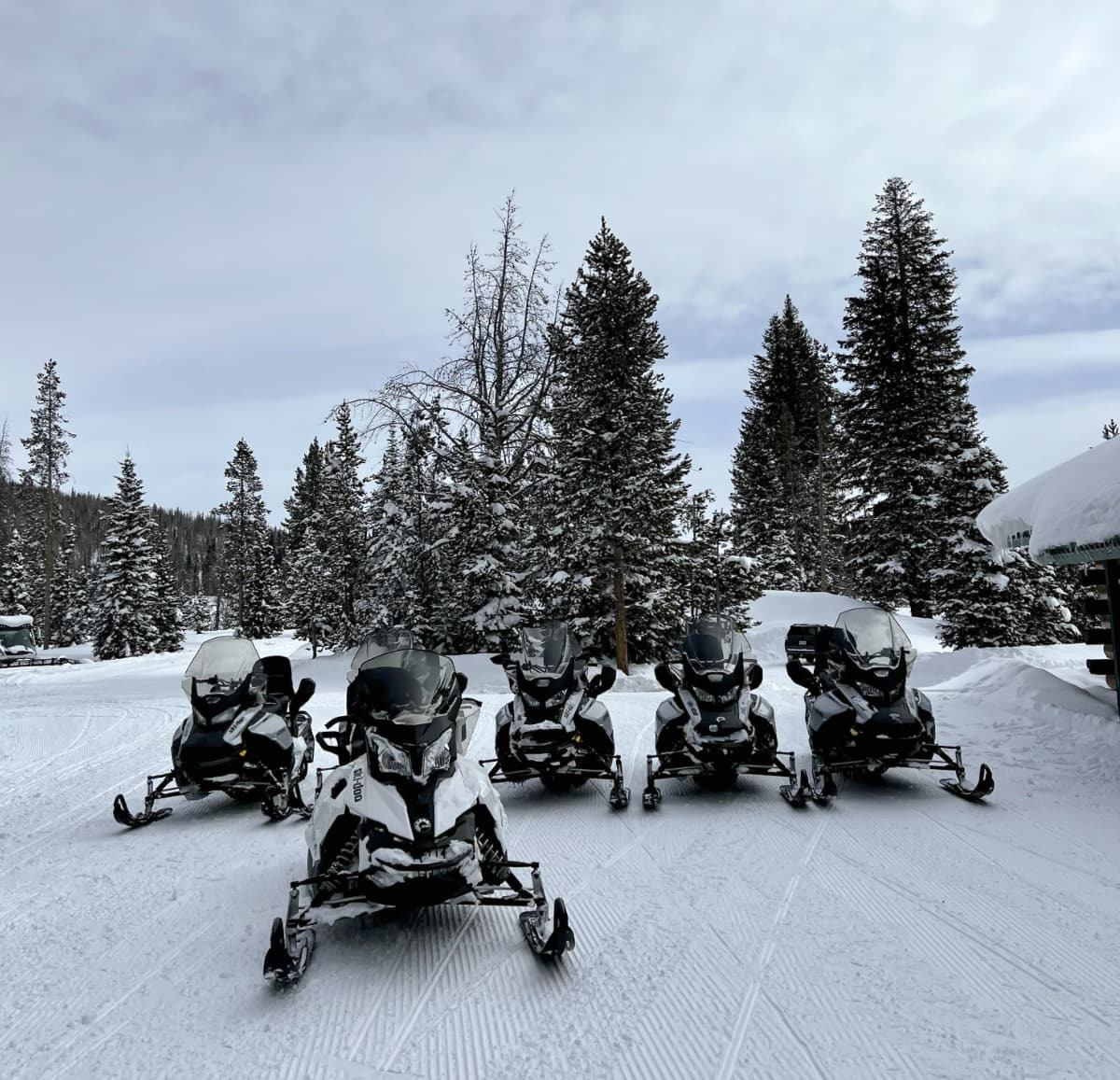 snow mobiles ready to ride in steamboat springs, colorado.